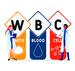 Flat design with people. WBC - White Blood Cell
acronym, medical  concept background.   Vector illustration for website banner, marketing materials, business presentation, online advertising.