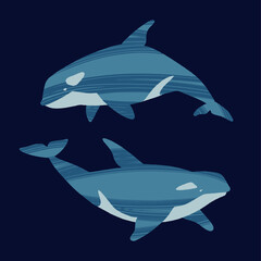 Two killer whales. Ocean animals in trendy flat style.