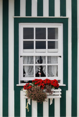 Janela com vidros aos quadrados numa parede de cores verde e branco ás riscas verticais e com corações pendurados ao meio um coração é de cor vermelho alaranjado, vasos de flores vermelhas