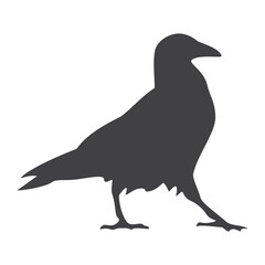 Crow silhouette, icon. Vector illustration on a white background.