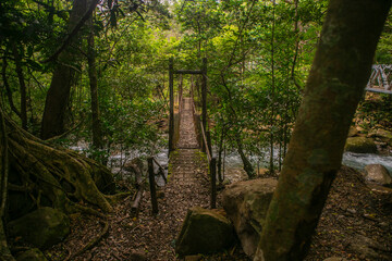 The Old Wooden Bridge in Rincon De La Viaja National Park of Costa Rica, Central America