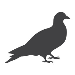 Dove silhouette, icon. Vector illustration on a white background.