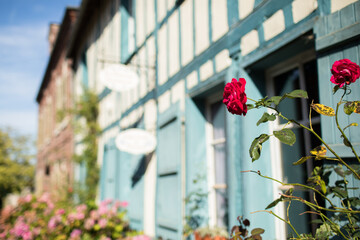 Gerberoy and red roses. Old village in France, half-timbered houses, known for roses, listed in the plus beaux villages de France (Most beautiful French villages). Gerberoy, Oise, France.