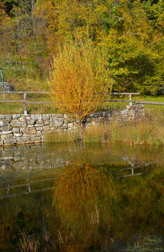 The autumn landscape and the woodland ponds near Slivia by Duino in Triest Province, Friuli-Venezia Giulia, North East Italy. Known locally as Gli Stagni di Slivia
