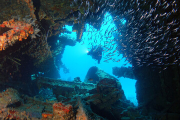 Diving in the Caribbean at the RMS Rhone, beautiful environment with beautiful animals, the ship sank 1867 at Salt Island and 123 people lost there lives,  - obrazy, fototapety, plakaty