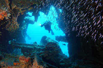 Diving in the Caribbean at the RMS Rhone, beautiful environment with beautiful animals, the ship sank 1867 at Salt Island and 123 people lost there lives, 