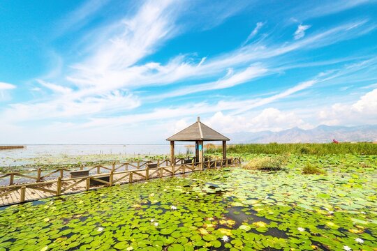 Brown wooden gazebo on green grass field under blue sky