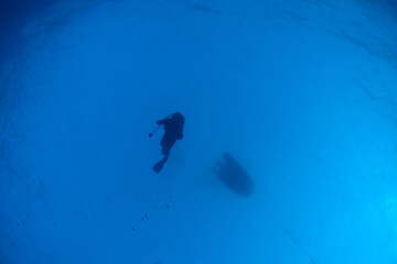 Diving in the Caribbean at the RMS Rhone, beautiful environment with beautiful animals, the ship sank 1867 at Salt Island and 123 people lost there lives, 