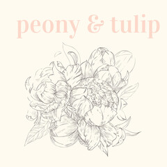 Fototapeta premium Peony and tulip haddrawn pen and pencil sketch. Line style vector. Spring wedding invitation. Vector design. Black outline. Decorative print. Retro illustration for fabric design.