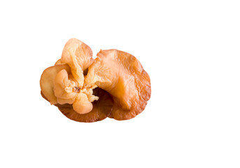 ear mushroom isolated