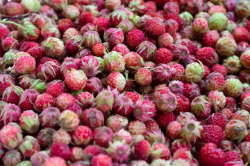 Fershly picked many ripe raw forest strawberries. Pattern made of berries