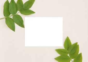 Empty horizontal 5x7 card mockup, invitation, thank you card, wedding stationery, green leaves, flat lay, top view.