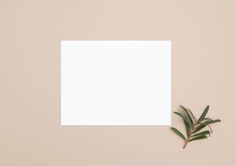 Fototapeta na wymiar White blank horizontal 5x7 card on beige background, greeting card, invitation or thank you card mockup, stationery, boho style.