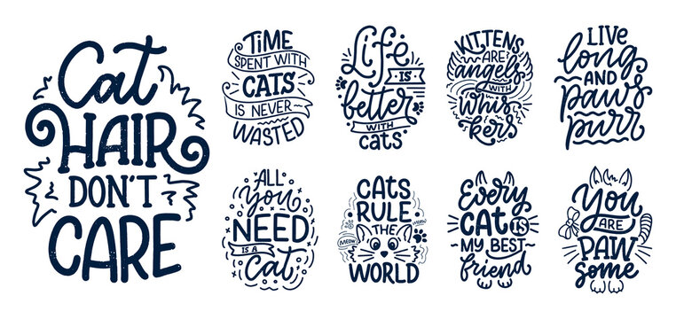 Set with funny lettering quotes about cats for print in hand drawn style. Creative typography slogans design for posters. Cartoon vector illustration.