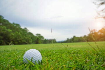 Golf ball on green in the evening golf course with sunshine in thailand.