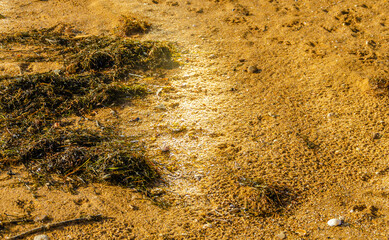 yellow sand on the beach near the sea.