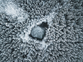 Black and white abstract painting