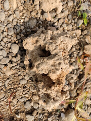 Skull like rock near the sea shore