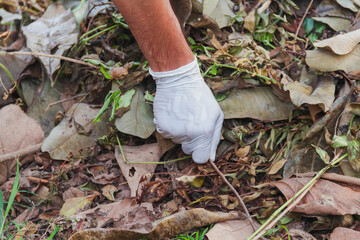 Man collecting leaf litter from their home garden