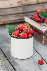 Fresh juicy strawberries with leaves. Rustic wooden box and handmade lace, enameled mug. Retro magazine picture.