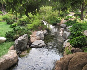 A flowing stream around sunset with lush trees and plants in a Japanese garden located in Phoenix,...