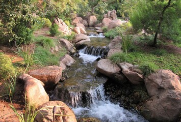 A flowing stream around sunset with lush trees and plants in a Japanese garden located in Phoenix, Arizona 