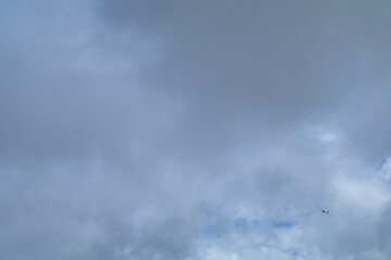 glider in flight,blue, nature, weather, white, cloudy, blue ,atmosphere,cloudscape,fly,plane,