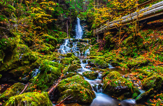 Dickson falls