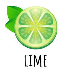 Lime fruit icon. Lime icon isolated on white background. Flat style illustration.