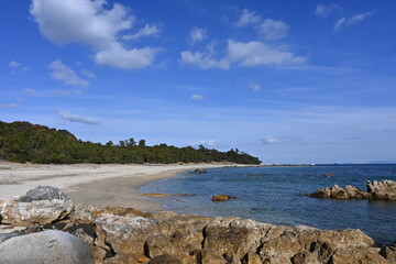 beach and rocks