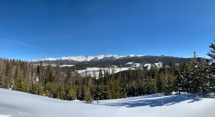 snow covered mountains