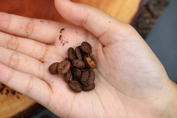 Young woman hand hold roasted coffee bean ,Hands holding roasted coffee beans