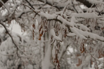snow pictures in madrid spain