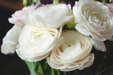Beautiful white ranunculus bouquet over dark background, closeup view. Wedding flowers or valentine's day gift bouquet
