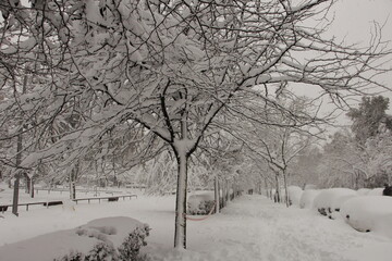 Snow pictures in madrid spain