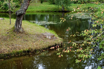 Pond in the park.