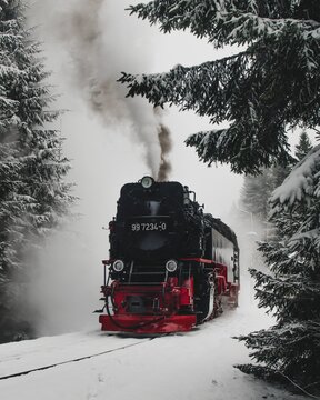 Red and black train on snow covered ground near green trees
