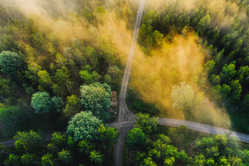 Landscape of nature