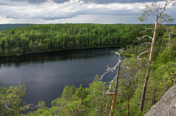 Obraz premium Forest on the shore of the northern lake