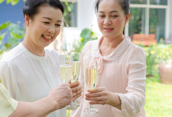 Group of senior people celebrating with White wine