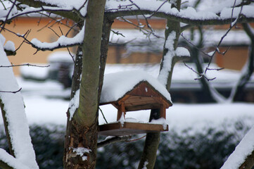 Vogelhäuschen im verschneiten Winter im Garten