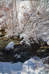 mountain stream in the winter forest