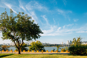 Jamsil Hangang river park in Seoul, korea