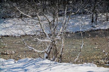 mountain stream in the winter forest