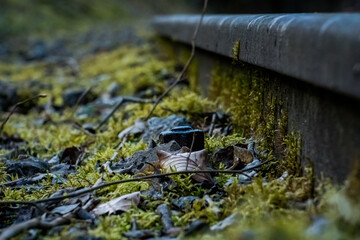 Abandoned Train Station