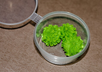 Wasabi mustard or Eutrema japonica (Latin: Eutrema Japonica). Spicy pasta served with rolls, in  disposable transparent jar on  beige background.