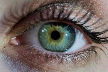 close up of a female eye