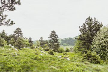 Beautiful landscape view on the Nanos mountain. A typical landscape of a mountain valley Vipava.