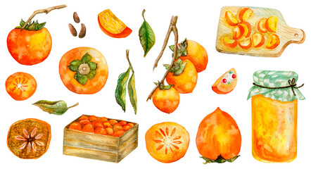 Set of persimmon fruit. Leaves, box of ripe fruit, jar of persimmon jam, slices cut on a wood board, dried persimmons and on branch. Watercolor hand-drawn elements. Isolated on white.