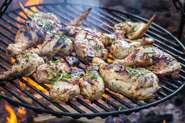 Hot and spicy chicken with rosemary and spices on grill